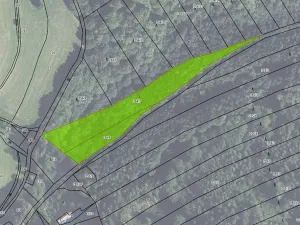 Prodej lesa, Hartinkov, 8121 m2