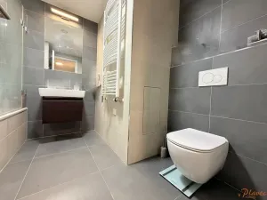 Pronájem bytu 2+kk, Praha - Holešovice, Jankovcova, 79 m2