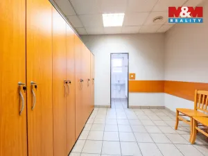 Prodej výrobních prostor, Slavičín, 714 m2