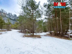 Prodej lesa, Rabí, 28273 m2