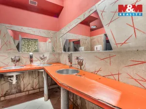 Prodej činžovního domu, Plužná, 700 m2