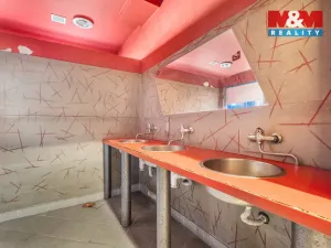 Prodej činžovního domu, Plužná, 700 m2