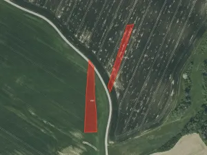 Prodej pole, Radošovice, 2863 m2