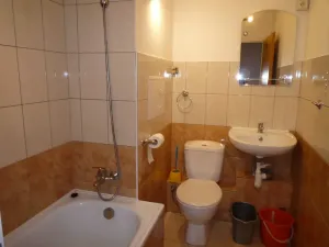 Pronájem bytu 1+kk, Liberec, Hroznová, 28 m2