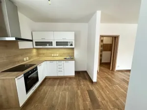 Pronájem bytu 1+kk, Děčín, Na Slatinách, 38 m2