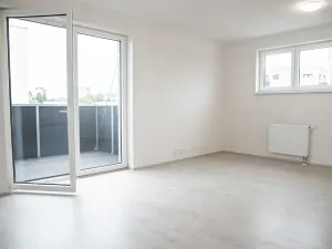 Pronájem bytu 1+kk, Heřmanova Huť, U Pondu, 34 m2