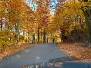 Prodej rodinného domu, Louňovice, U Hájenky, 150 m2