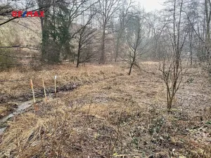 Prodej rybníku, Ondřejov, 8264 m2