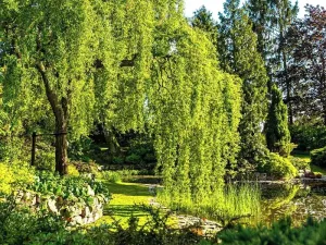 Prodej rodinného domu, Sulice, Na Křížkách, 277 m2