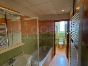 Pronájem bytu 1+1, Žatec, Příkrá, 44 m2