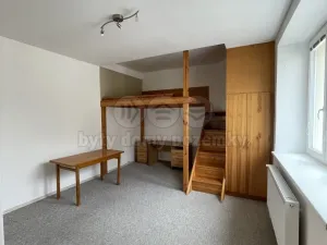 Pronájem bytu 1+1, Žatec, Příkrá, 44 m2