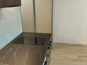 Pronájem bytu 1+kk, Plzeň, Skupova, 20 m2