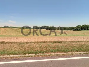 Prodej pole, Bzenec, 3846 m2