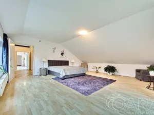 Pronájem rodinného domu, Dolní Břežany, V Úvozu, 380 m2