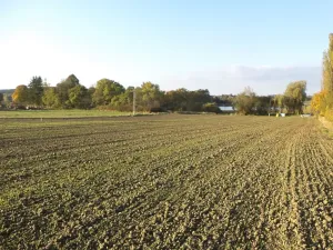 Dražba pozemku pro bydlení, Albrechtice nad Vltavou, 4328 m2