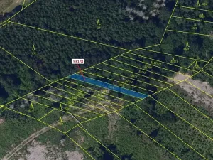 Dražba lesa, Havlíčkův Brod, 212 m2