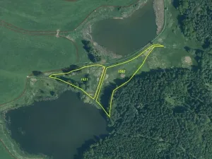 Dražba louky, Chodský Újezd, 13137 m2