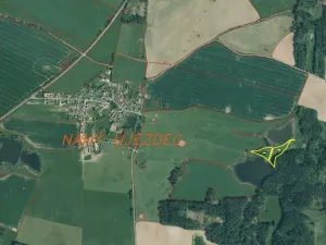 Dražba louky, Chodský Újezd, 13137 m2