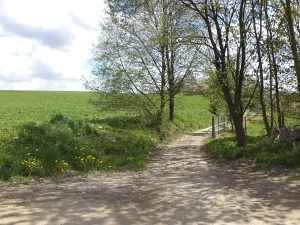 Dražba pozemku, Vítkov, 3225 m2