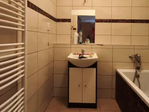 Pronájem bytu 1+1, Šenov, U Alejského dvora, 40 m2