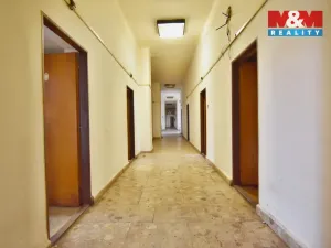 Pronájem obchodního prostoru, Plazy, 675 m2