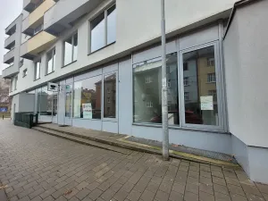 Pronájem obchodního prostoru, Brno, Purkyňova, 39 m2