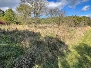 Prodej lesa, Březolupy, 245 m2