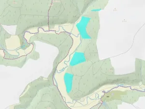 Prodej lesa, Křelovice, 102822 m2