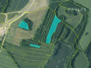 Prodej lesa, Stráž nad Nežárkou, 25076 m2