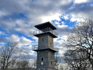 Pronájem bytu 2+1, Ústí nad Labem, Brandtova, 61 m2