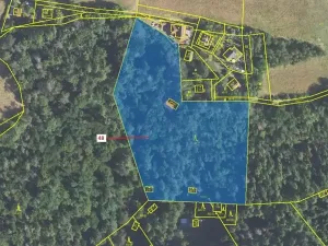 Dražba lesa, Sýkořice, 8962 m2