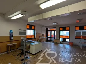 Prodej obchodního prostoru, Předslav, 494 m2