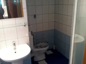 Prodej bytu 1+kk, Plzeň, Sousedská, 20 m2