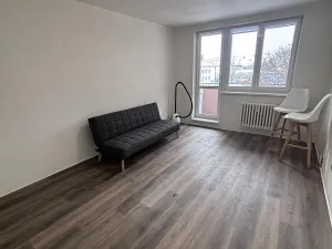 Pronájem bytu 1+kk, Ostrava - Moravská Ostrava, U Parku, 25 m2