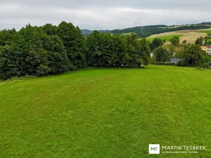 Prodej pozemku pro bydlení, Pulečný, 4466 m2