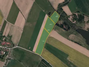 Prodej pole, Olšany, 53562 m2