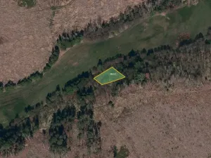 Prodej pole, Olšany, 34201 m2