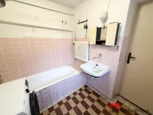 Prodej rodinného domu, Vědomice, 259 m2