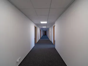 Pronájem kanceláře, Hradec Králové, Nerudova, 300 m2