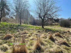 Prodej pozemku pro bydlení, Cheb, 2266 m2