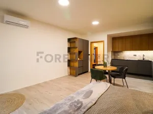 Pronájem bytu 1+kk, Brno, Cyrilská, 42 m2