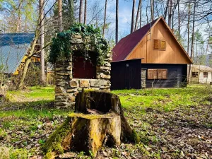 Prodej chaty, Starý Petřín, 90 m2