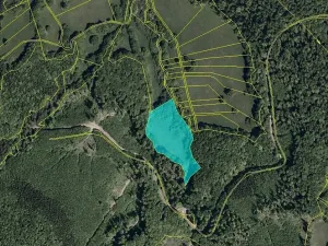 Dražba louky, Javorník, 16551 m2