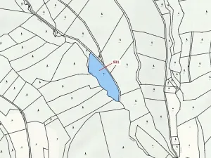 Dražba louky, Jílové u Držkova, 4019 m2