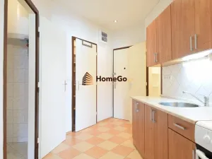 Pronájem bytu 1+kk, Praha - Nusle, U gymnázia, 46 m2