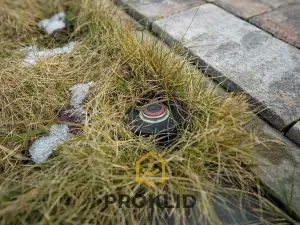 Prodej rodinného domu, Němčice nad Hanou, Nad Cukrovarem, 253 m2