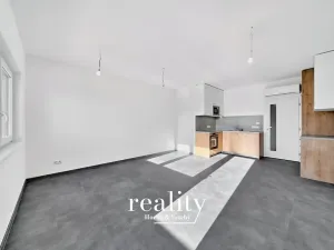 Pronájem bytu 1+kk, Znojmo, Višňová, 36 m2