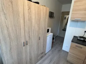 Pronájem bytu 1+kk, Kladno, Hřebečská, 20 m2