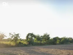 Prodej komerčního pozemku, Souňov, 3948 m2