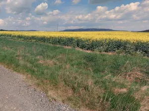 Dražba pozemku, Cebiv, 6401 m2